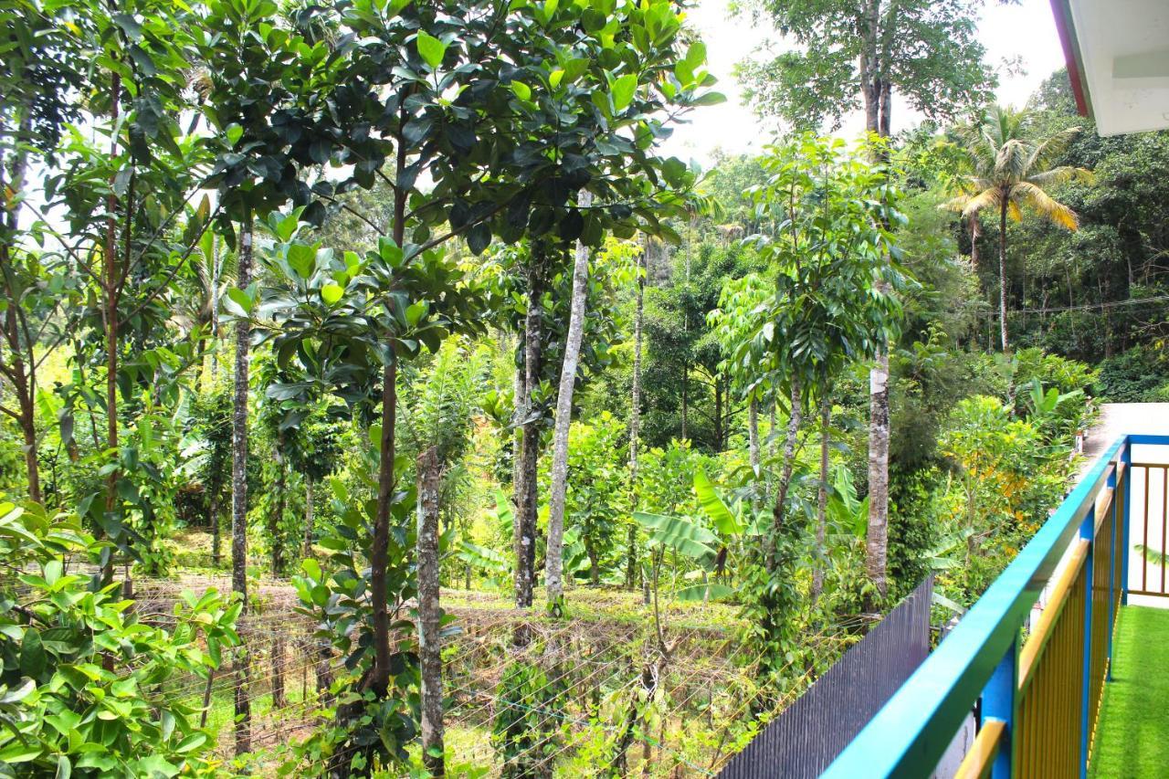 Willa Arabian Nights Munnar Zewnętrze zdjęcie
